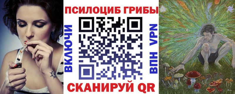 Купить закладки  Называевск  Галлюциногенные грибы Psilocybe 